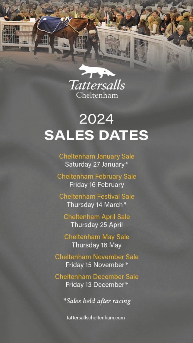 Tattersalls Cheltenham Sale Dates 2024.jpg