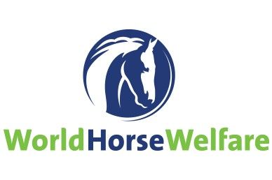 WORLD HORSE WELFARE.jpg