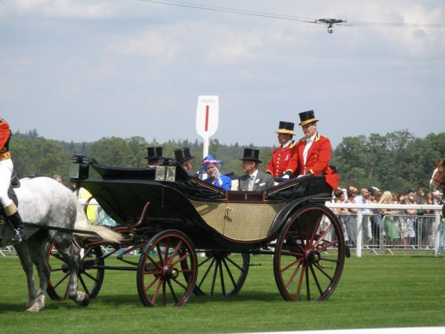 ascot_queen_horse_england_uk_monarchy_carriage_royal-347138.jpg