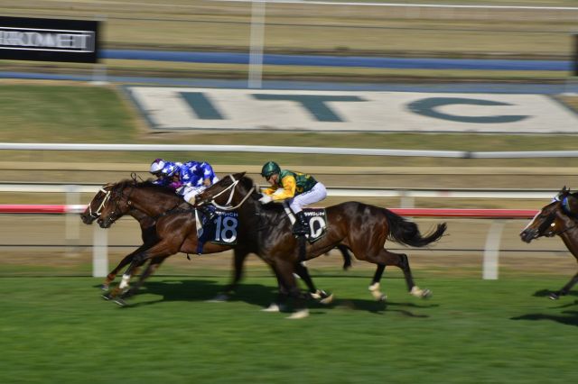 horseracing-2778327_1280.jpg