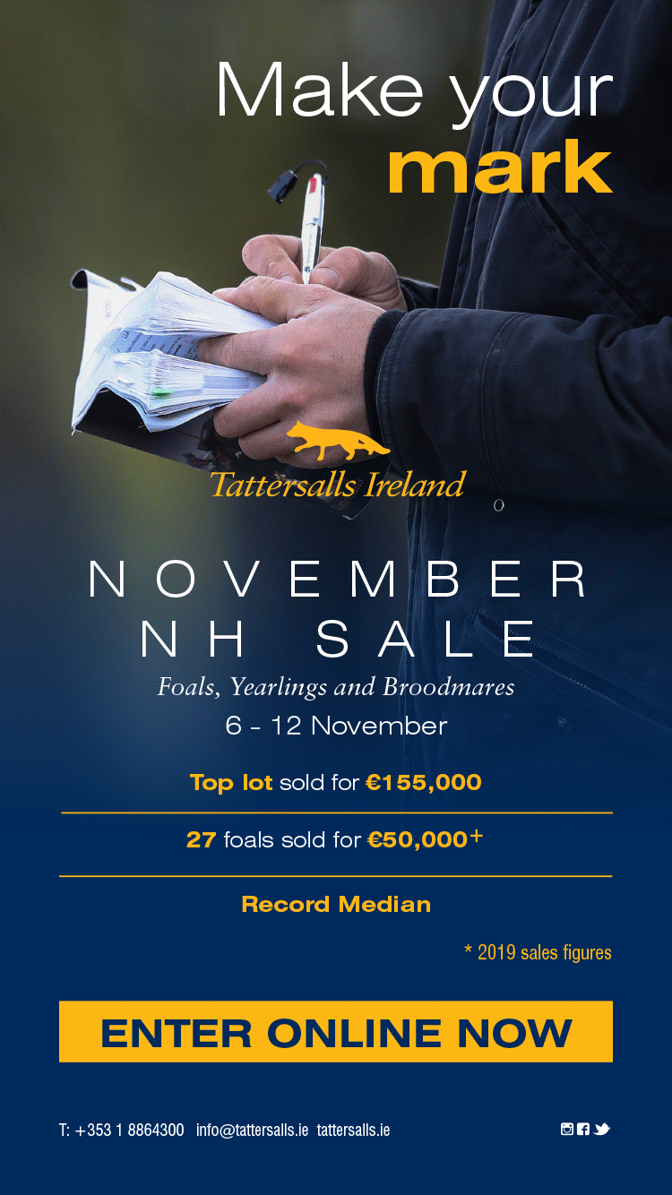 Tattersalls-Ireland-_-2020_-November-Sale_-Email-CC-Full--1.gif