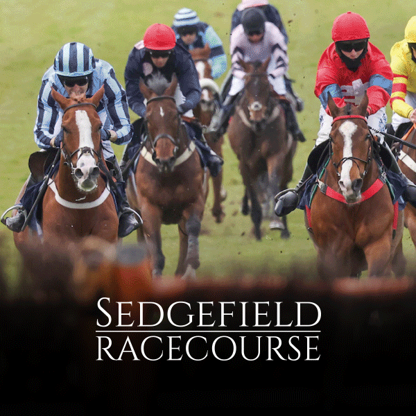 Sedgefield Racecourse News - Treat yourself this payday weekend..gif