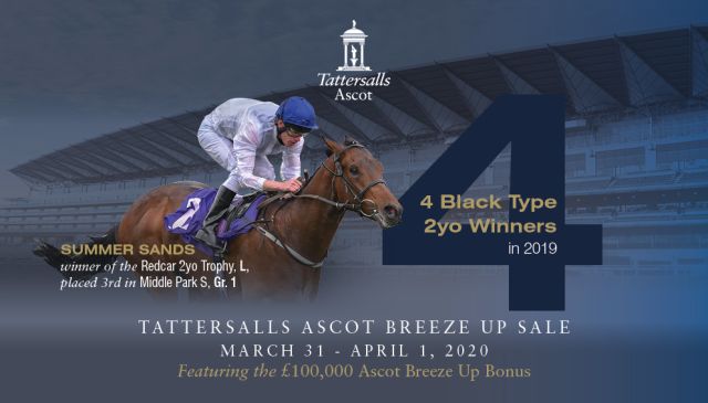 aTattersalls_Ascot___2020__Breeze_Up_Sale___Email_CC_350mmm_by_200mm.jpg